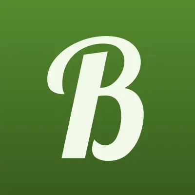 БиСиБи, компания, лого-визитка