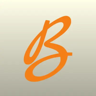 Blesk InCare, сеть химчисток-прачечных, лого-визитка