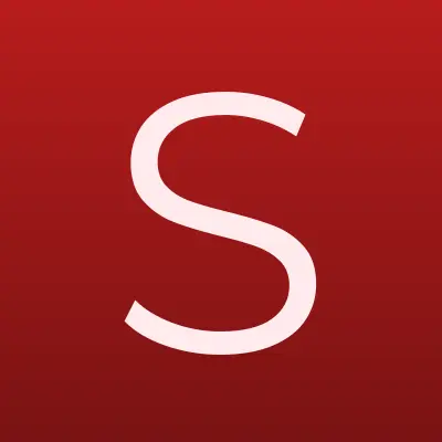 Service Standard, таможенный брокер, лого-визитка