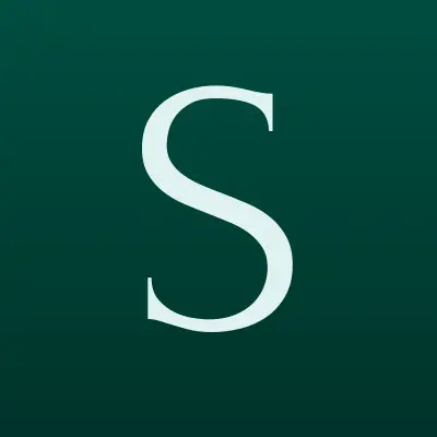 solarX, сеть магазинов сезонных товаров, лого-визитка